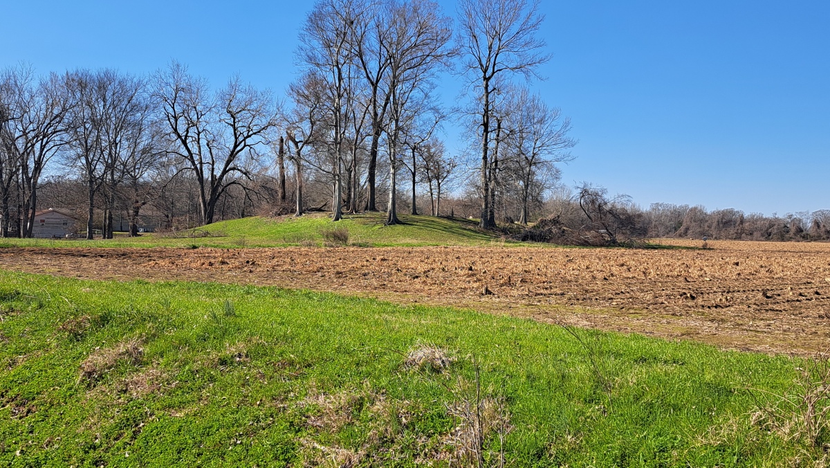Insley Mounds