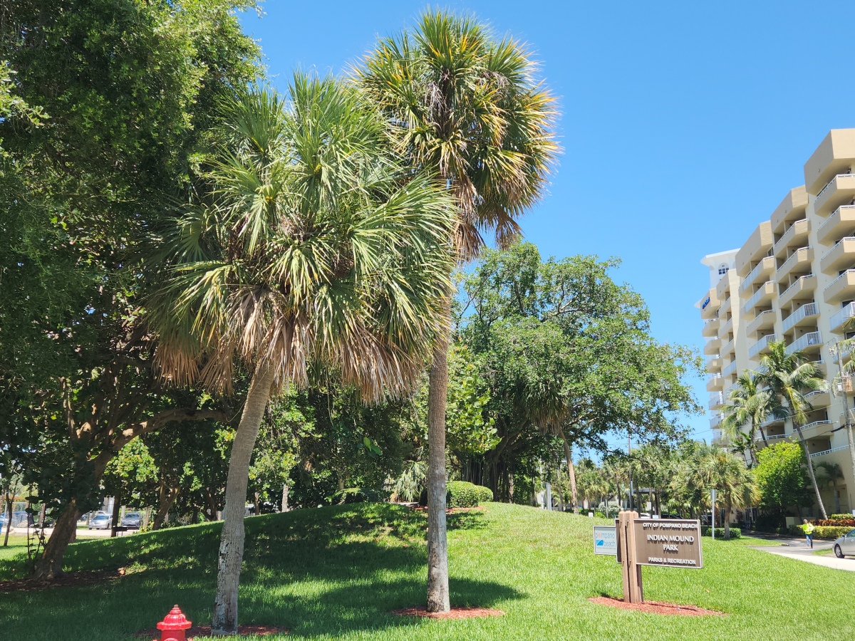 Pompano Beach Indian Mound