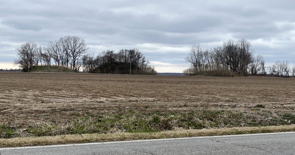 Click for the gallery page to add comments and vote (PID:261484) Arcola Mounds