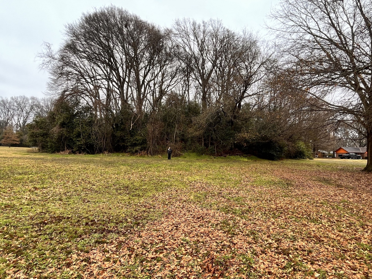 Click for the gallery page to add comments and vote (PID:261663) Cary Mounds