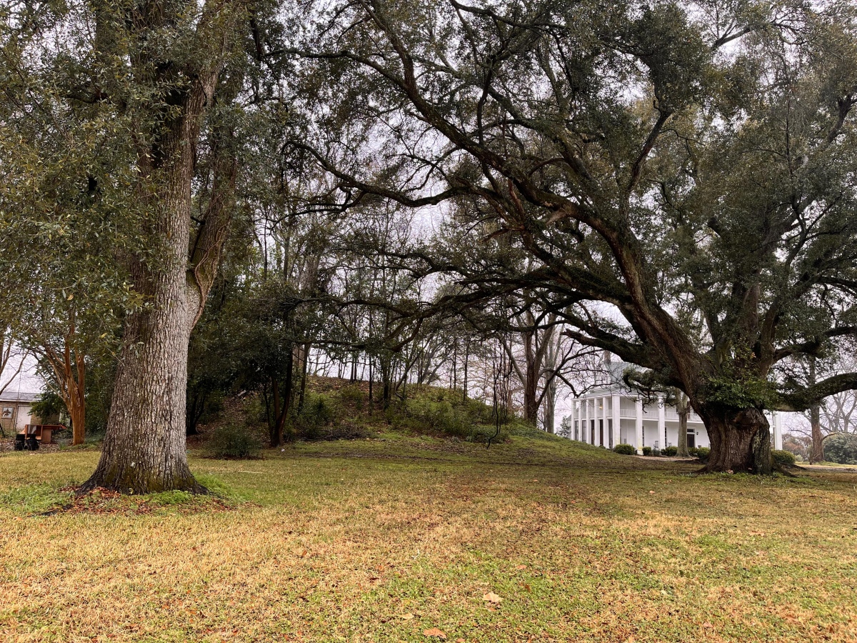 Anguilla Mound