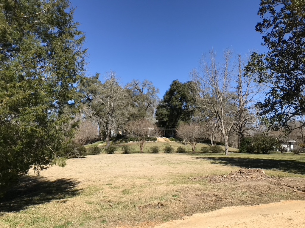 Click for the gallery page to add comments and vote (PID:261802) Foster Mounds