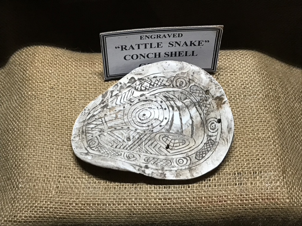 Rattlesnake shell gorget displayed in the Ka-Do-Ha site in Arkansas.  Photo courtesy Dr Greg Little, author of the Illustrated Encyclopedia of Native American Indian Mounds & Earthworks (2016). 
