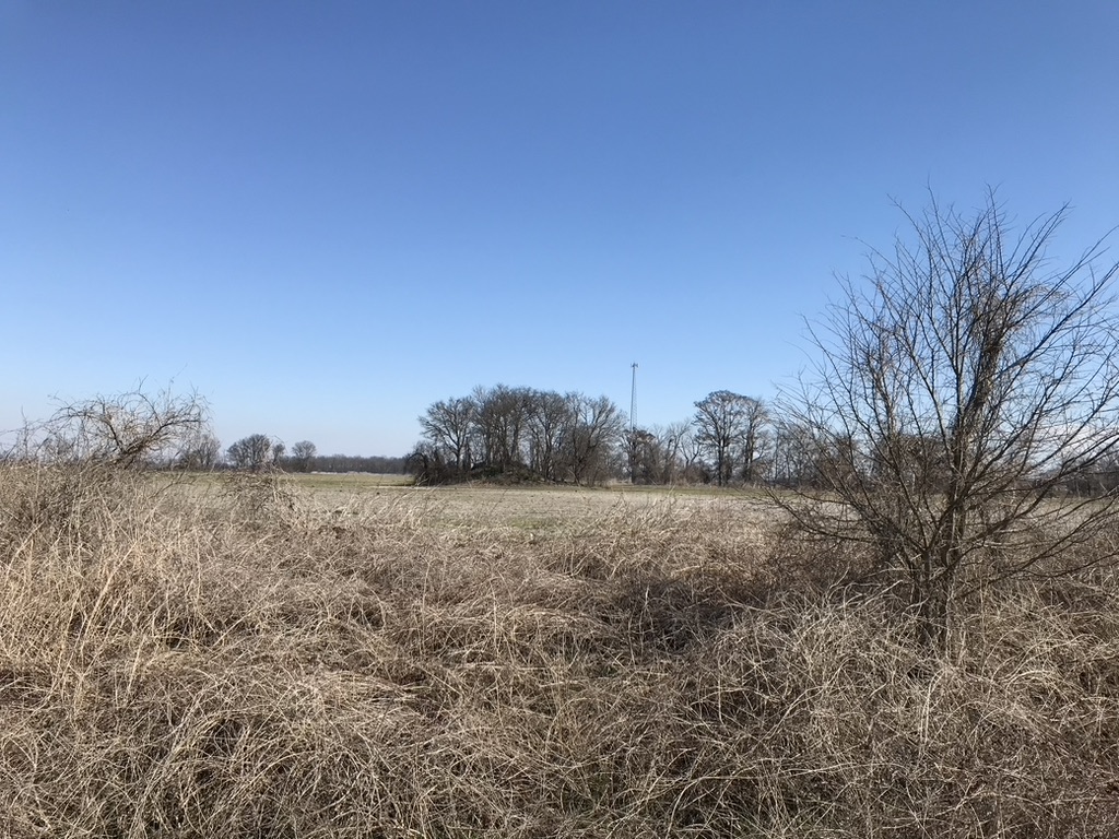 Christmas Mound