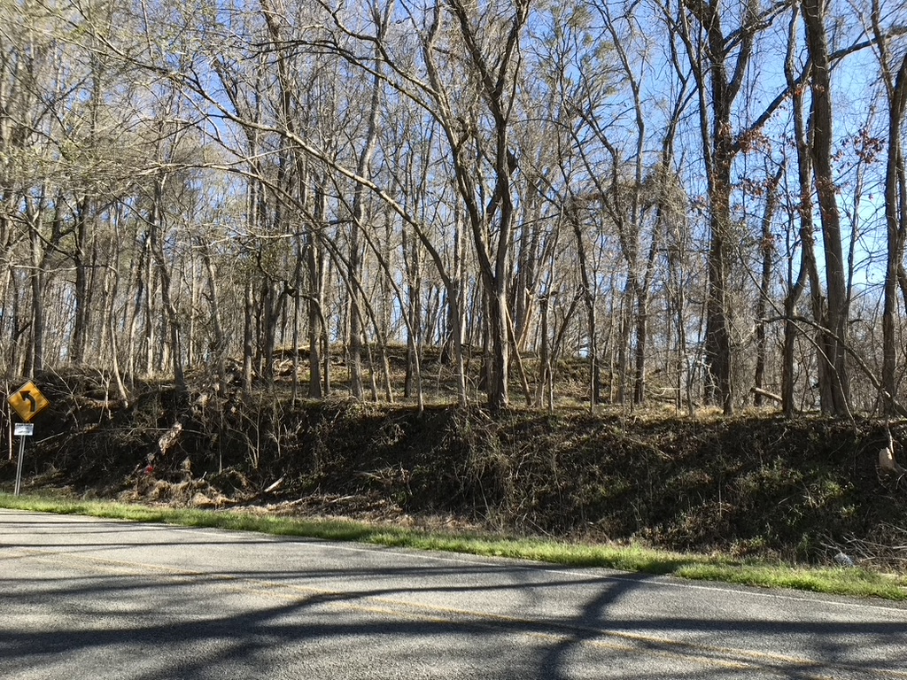 Click for the gallery page to add comments and vote (PID:262103) Bayou Pierre Mounds