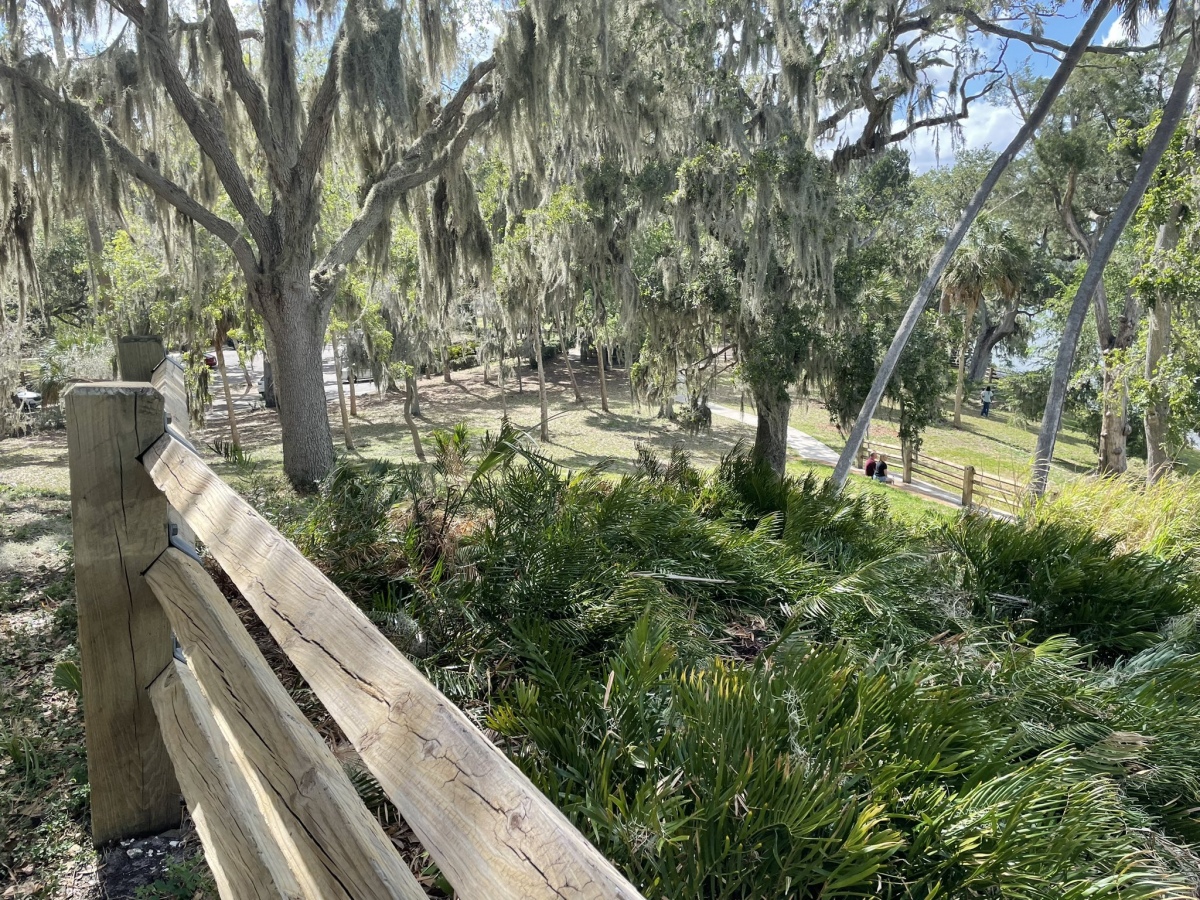 Safety Harbor Mound