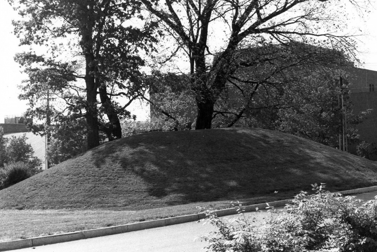 University of Tennessee Agriculture Farm Mound