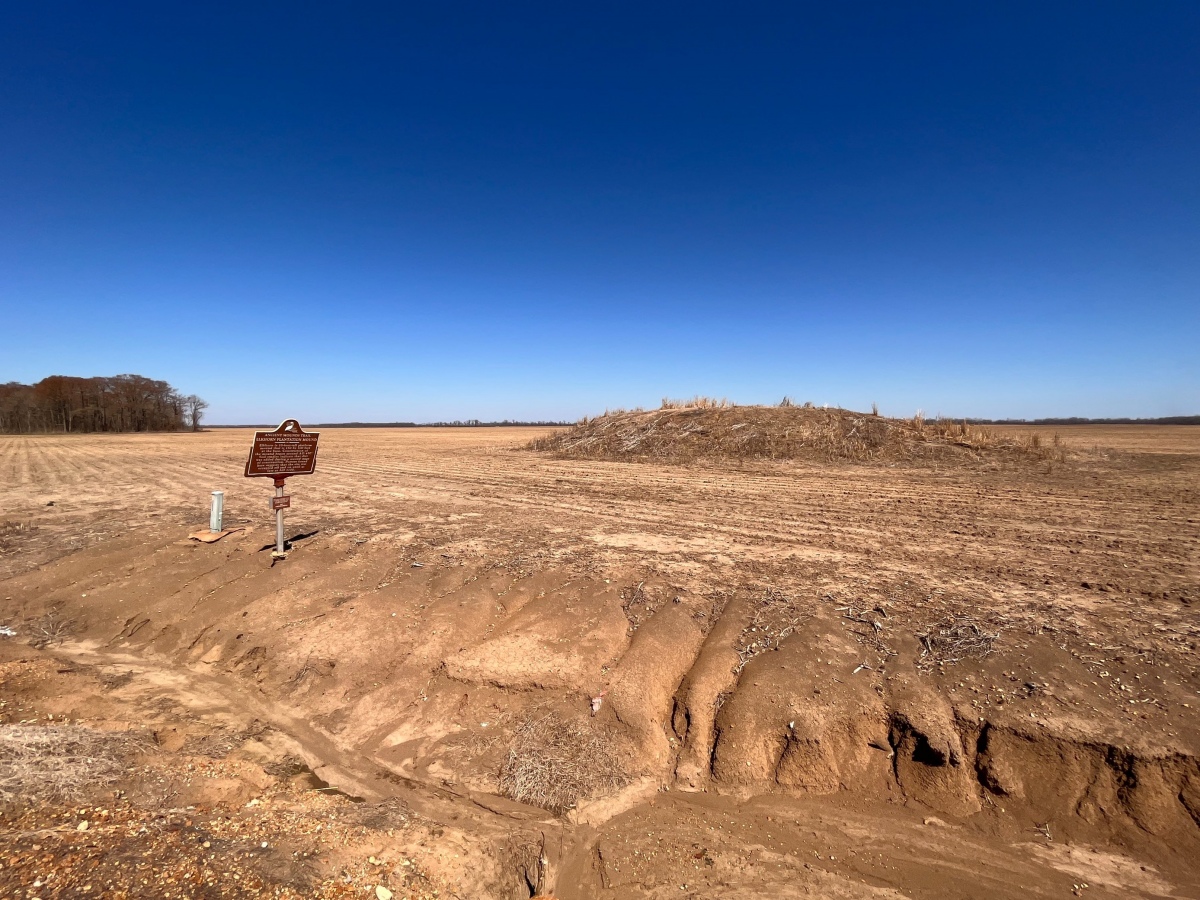 Click for the gallery page to add comments and vote (PID:261716) Elkhorn Plantation Mound