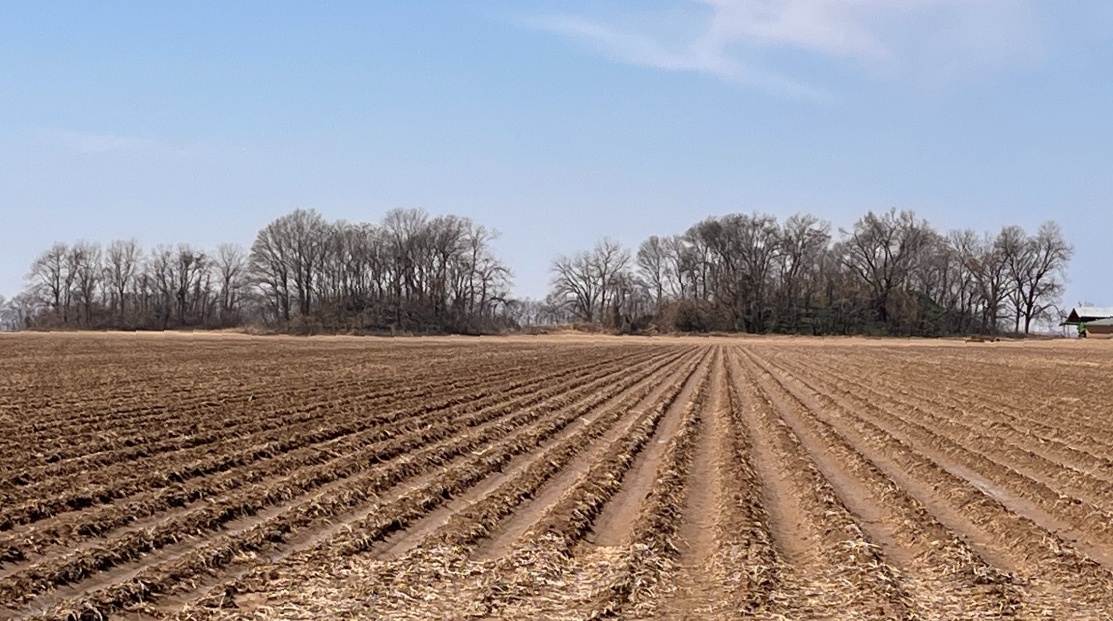 Transylvania Mound