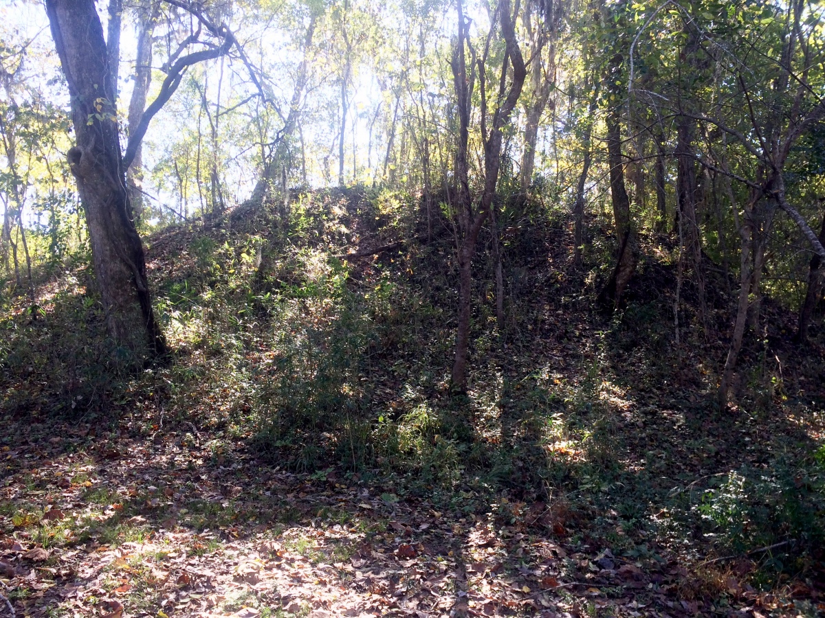 Mound at Fort Toulouse - Fort Jackson Park