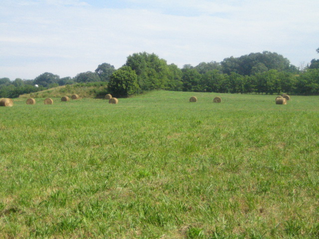 Bledsoe's Lick Mound