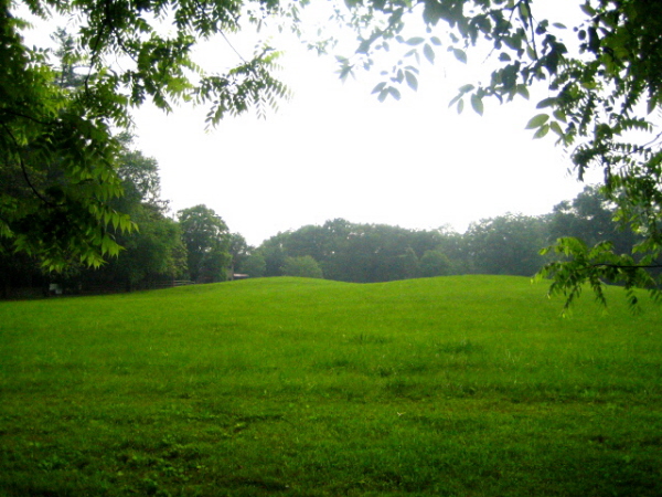 Click for the gallery page to add comments and vote (PID:32648) Old Town (Williamson)