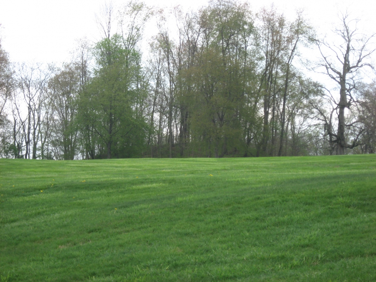 Click for full size image of Braddock Mound (PID:254526) Braddock Mound