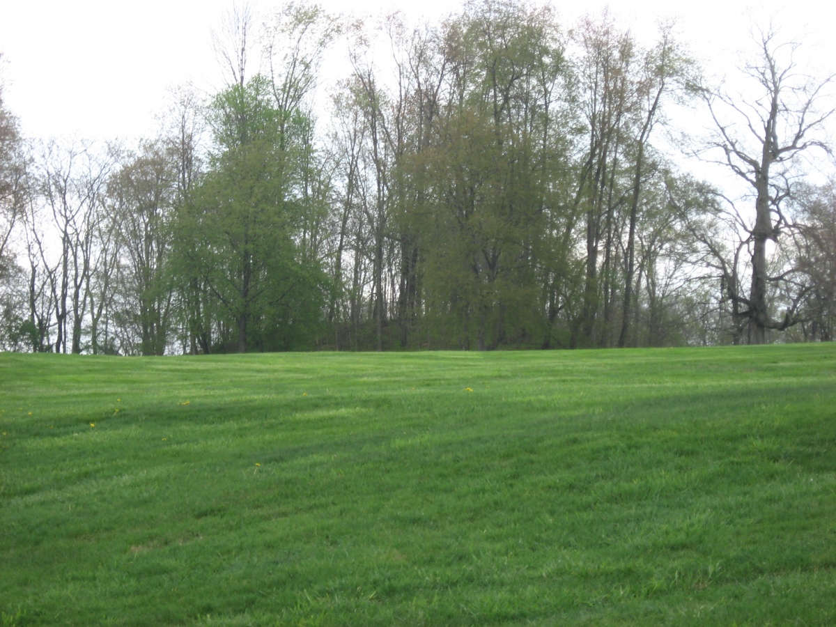 Braddock Mound