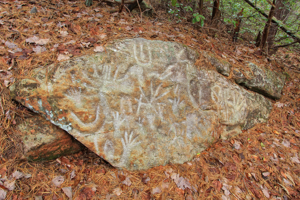 Hickorynut Track Rock