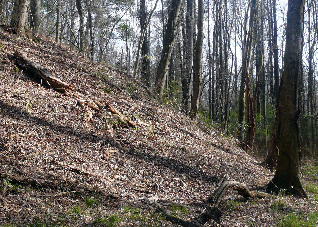 Lamar Mounds