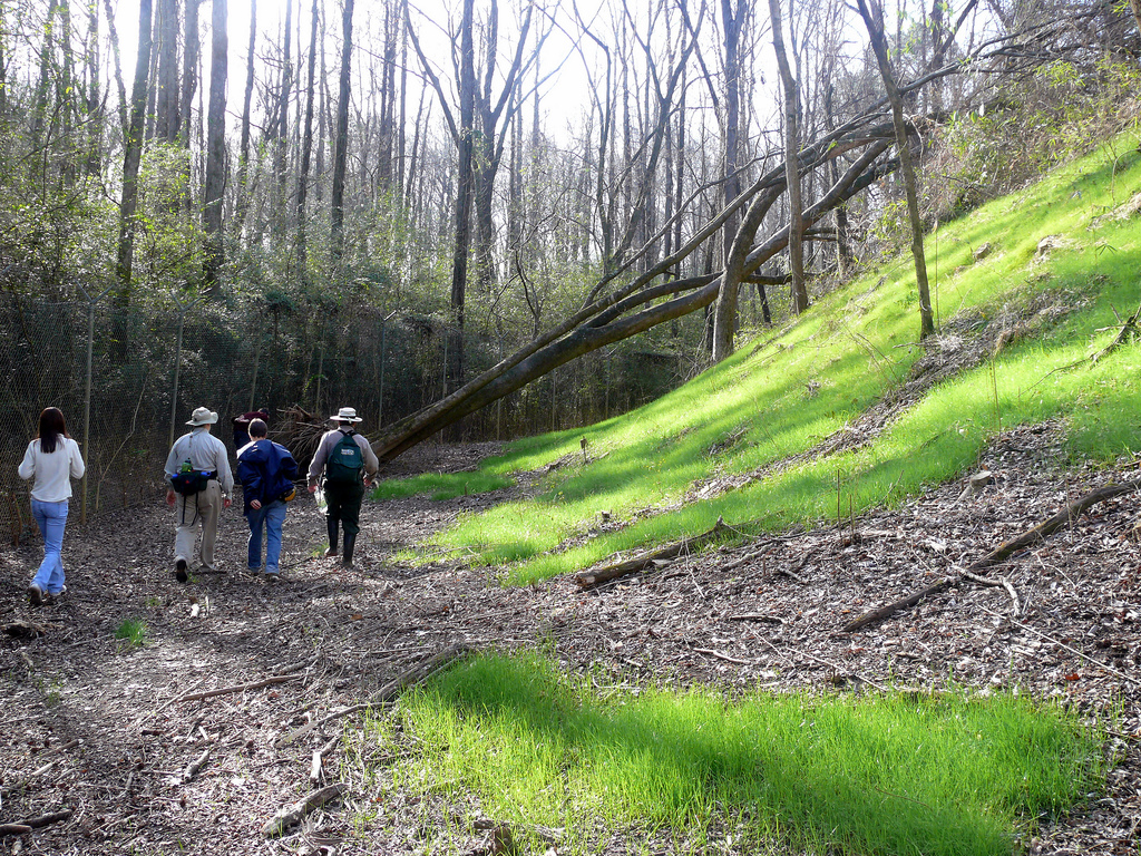 Lamar Mounds