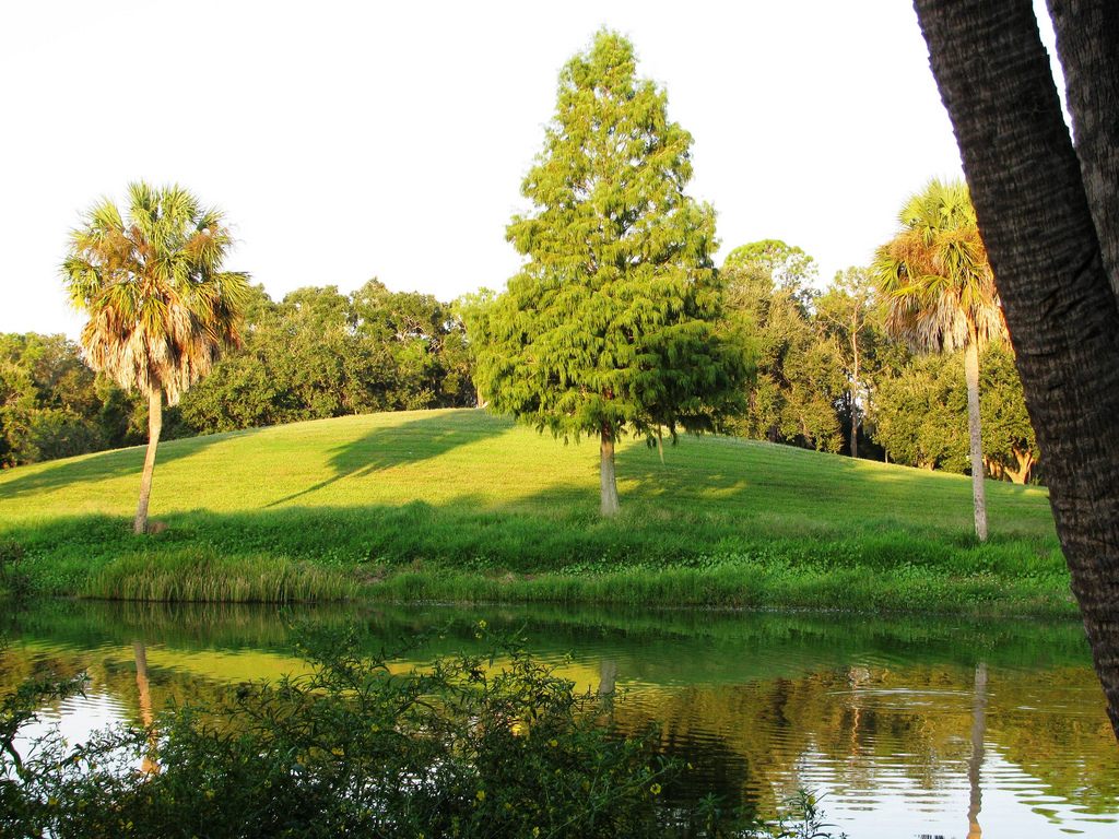Click for the gallery page to add comments and vote (PID:189582) Snyder's Mound