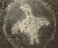 Rock Hawk Effigy Mound