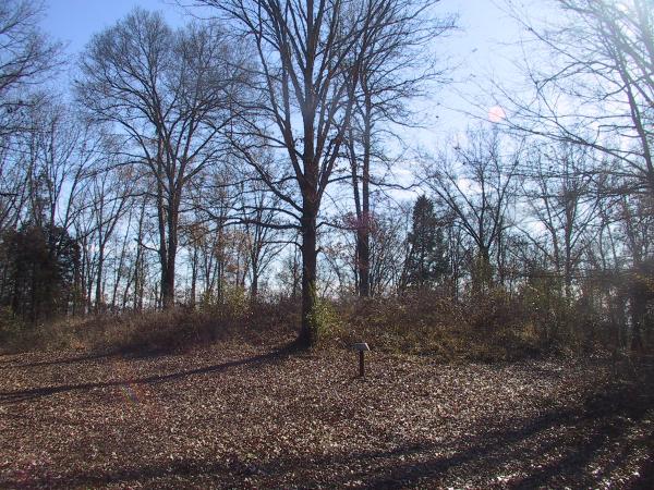 Click for the gallery page to add comments and vote (PID:54809) Pinson Mounds - Mound 30