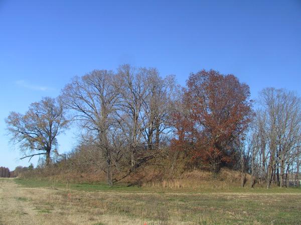 Pinson Mounds - Ozier Mound