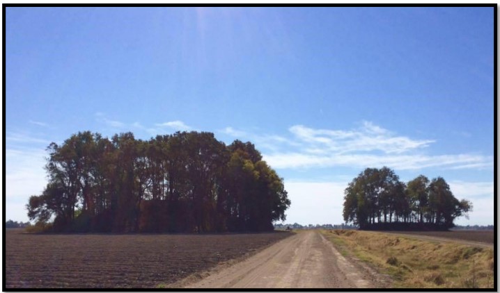 Click for the gallery page to add comments and vote (PID:266908) Magee Mounds