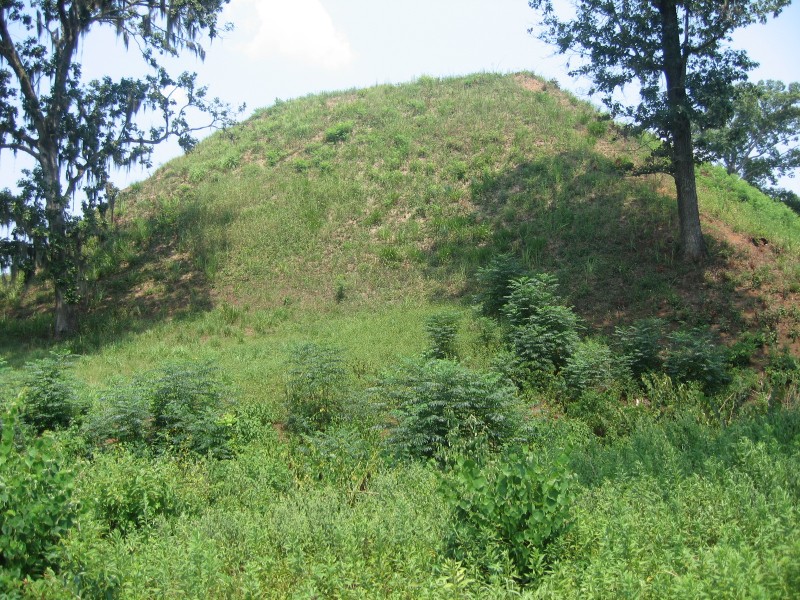 Click for the gallery page to add comments and vote (PID:72215) Kolomoki Mounds Historic Park