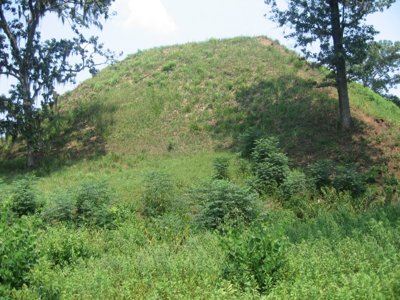 Kolomoki Mounds Historic Park