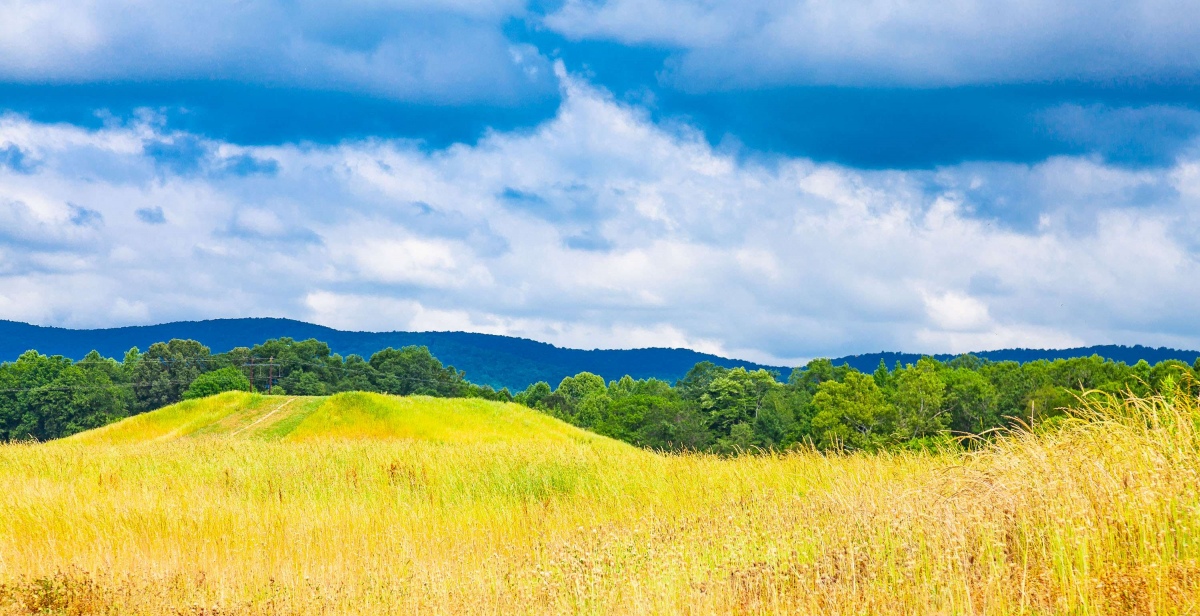 Click for full size image of Choccolocco Creek Mounds (PID:254404) Choccolocco Creek Mounds