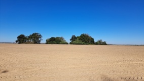 Arcola Mounds