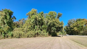 Haynes Bluff Mounds