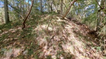 Windsor Mounds