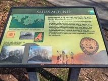 Pinson Mounds - Sauls Mound