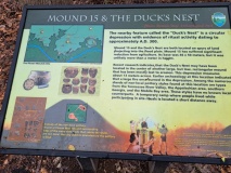 Pinson Mounds - Other Sites