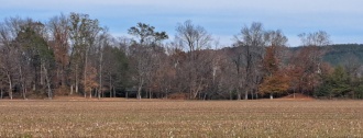 Hamilton Mounds