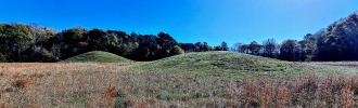 Pharr Mounds