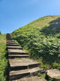 Grave Creek Mound - PID:296150