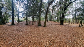 Velda Mound