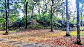Letchworth - Love Mounds Archaeological State Park