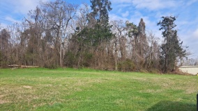 Motley Mound