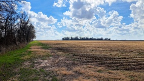 Jordan Mounds Site
