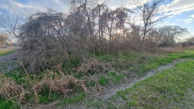 Unnamed Mound in Mound, LA