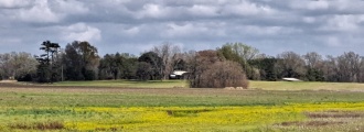 McGuffee Mounds