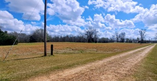 Tew Lake Mounds