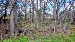 Tew Lake Mounds