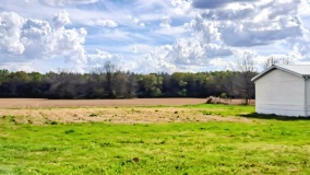Crooks Mound