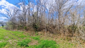 Mayflower Mound