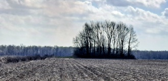 Mound Plantation