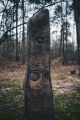 Arborrigg - PID:202088