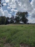 Insley Mounds